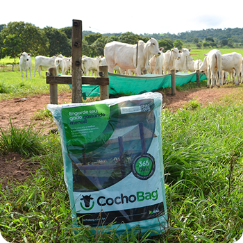 CochoBag-Foto-5