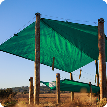 CochoBag-Foto-6